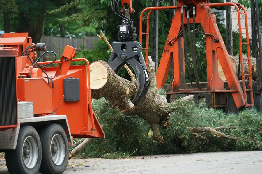 Expert Tree Services in West Chicago, IL
