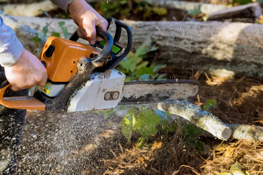 Quality Tree Services in West Chicago, IL